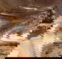 Hobart Minibus Full-Day Private Tour - Surfers Gold Coast