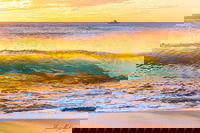 Book Viator Accommodation Vacations Surfers Gold Coast Surfers Gold Coast