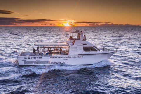 Kalbarri Sunset Coastal Cliff Cruise - Surfers Gold Coast 2