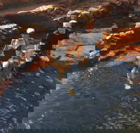 One Day Litchfield Park Adventures - Surfers Gold Coast