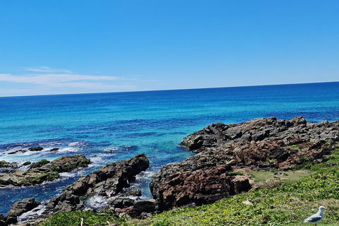 Private Custom Byron Bay Day Out - Surfers Gold Coast 4