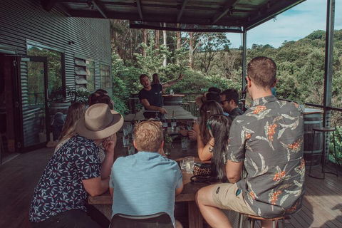 Private Custom Byron Bay Day Out - Surfers Gold Coast 5