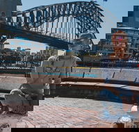 The Rocks  Darling Harbour With A Local Private  Personalized - Surfers Gold Coast