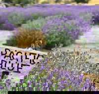 Kangaroo Island Food and Wine Trail Tour