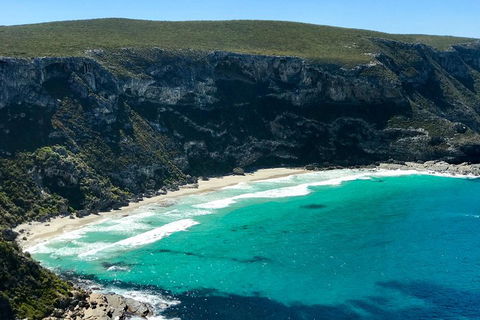 Kangaroo Island Scenic Trail Tour - Surfers Gold Coast 4