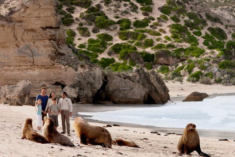 Kangaroo Island Scenic Trail Tour - Surfers Gold Coast 5
