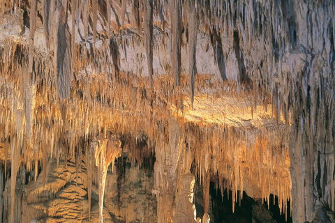 Margaret River, Caves, Wine And Cape Leeuwin Lighthouse Tour From Perth - Surfers Gold Coast 3