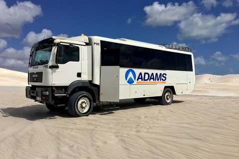 Pinnacles Desert, Koalas And Sandboarding 4WD Day Tour From Perth - Surfers Gold Coast 2