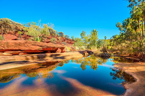 7-Day Guided Tour Of Alice Springs With Accommodation Included - Surfers Gold Coast 1