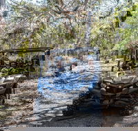 Small-Group Buggy Tour at Little Sahara with Guide