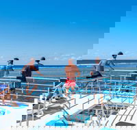 Calypso Outer Great Barrier Reef Cruise from Port Douglas - Surfers Gold Coast