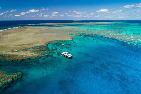 Calypso Outer Great Barrier Reef Cruise From Port Douglas - Surfers Gold Coast 1