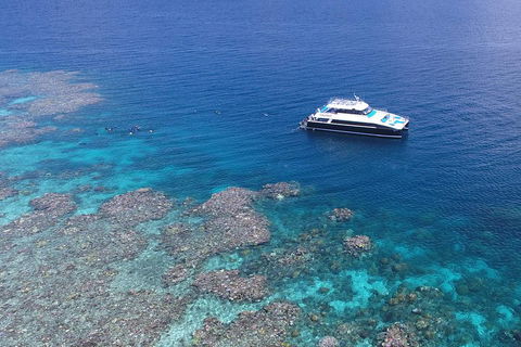 Calypso Outer Great Barrier Reef Cruise From Port Douglas - Surfers Gold Coast 4