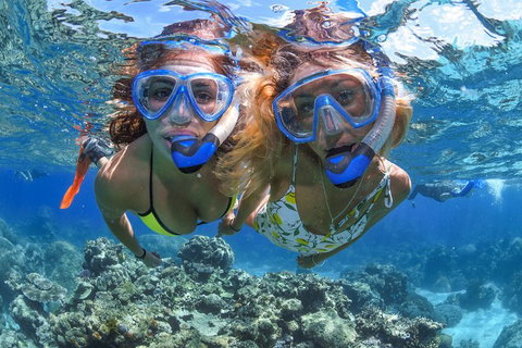 Great Barrier Reef Snorkeling And Diving Cruise From Cairns - Surfers Gold Coast 3
