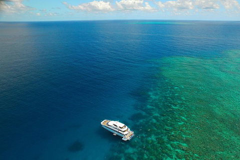 Great Barrier Reef Snorkeling And Diving Cruise From Cairns - Surfers Gold Coast 4