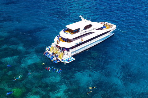 Great Barrier Reef Snorkeling And Diving Cruise From Cairns - Surfers Gold Coast 5