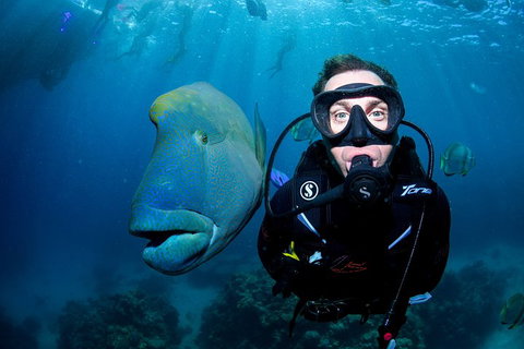 Full Day Reef Cruise Including 10 Minute Heli Scenic Flight: Get High Package - Surfers Gold Coast 1