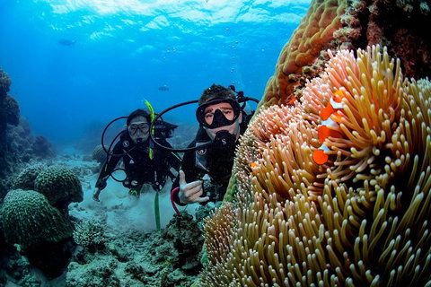 Full Day Reef Cruise Including 10 Minute Heli Scenic Flight: Get High Package - Surfers Gold Coast 5