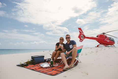 Private Helicopter Tour: Reef Island Snorkeling And Gourmet Picnic Lunch - Surfers Gold Coast 1