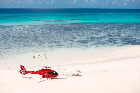 Private Helicopter Tour: Reef Island Snorkeling And Gourmet Picnic Lunch - Surfers Gold Coast 2