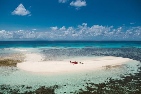 Private Helicopter Tour: Reef Island Snorkeling And Gourmet Picnic Lunch - Surfers Gold Coast 4