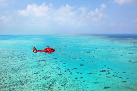 Ultimate Great Barrier Reef And Rainforest 45-minute Helicopter Tour - Surfers Gold Coast 2