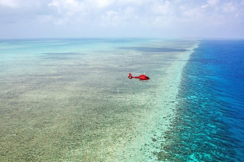 Ultimate Great Barrier Reef And Rainforest 45-minute Helicopter Tour - Surfers Gold Coast 5