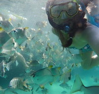 2-Day Moreton Island 4WD Camping Tour from Brisbane - Surfers Gold Coast