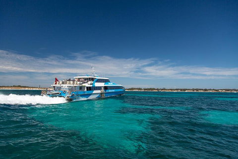Rottnest Island All-Inclusive Grand Island Tour From Fremantle - Surfers Gold Coast 3