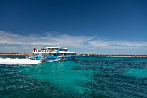 Perth To Rottnest Island Roundtrip Ferry Ticket - Surfers Gold Coast 4
