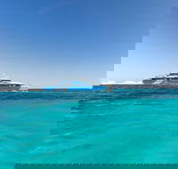 Rottnest Island Bayseeker Day Trip from Perth - Surfers Gold Coast