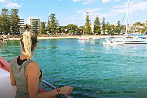 Sydney Harbour Hop-on Hop-off Cruise - Surfers Gold Coast 5