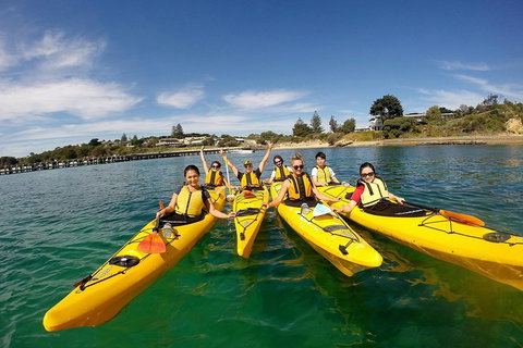 Mornington Peninsula Kayak Coastline Tour Of Dolphin Sanctuary - Surfers Gold Coast 2