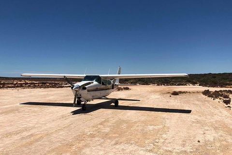 Kalbarri Gorges & West Coast - Ground & Air Tour - Surfers Gold Coast 4