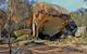 Wave Rock & Rottnest Island - Air & Ground Tour - thumb 4