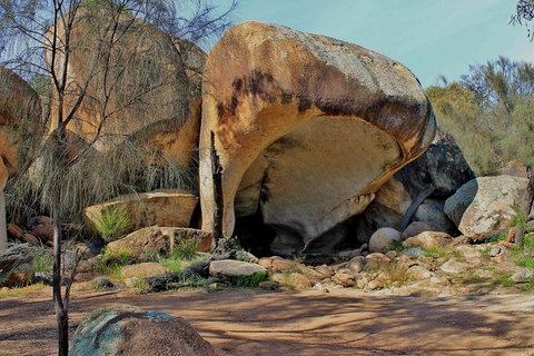 Wave Rock & Rottnest Island - Air & Ground Tour - Surfers Gold Coast 4