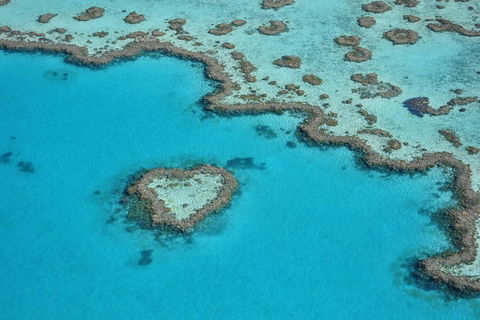 Reef And Island Scenic Flight From Airlie Beach - Surfers Gold Coast 5