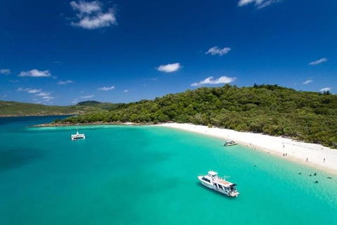 Whitehaven Beach And Hill Inlet | Awesome Beach BBQ | Family Friendly - Surfers Gold Coast 3