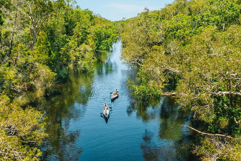 Cruise 'n' Canoe To Australia's Everglades - Surfers Gold Coast 3