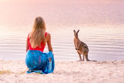 Cruise 'n' Canoe To Australia's Everglades - Surfers Gold Coast 5