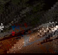 Alice Springs Desert Park Nocturnal Tour - Surfers Gold Coast