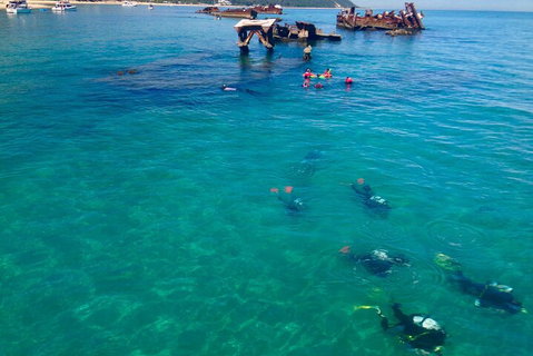 Adventure Moreton Island Scuba Dive Tour - Surfers Gold Coast 0