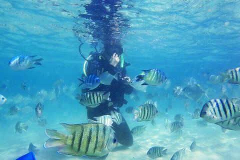 Adventure Moreton Island Scuba Dive Tour - Surfers Gold Coast 1