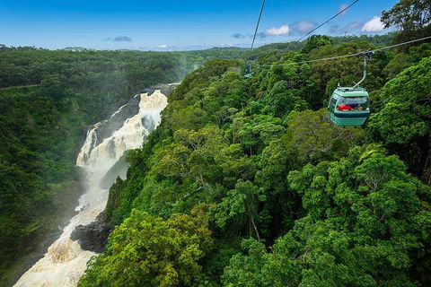 Cairns ATV Adventure Tour And Morning Skyrail - Surfers Gold Coast 3