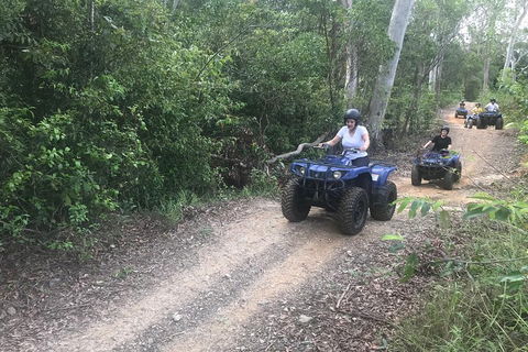 Cairns ATV Adventure Tour And Morning Train - Surfers Gold Coast 0