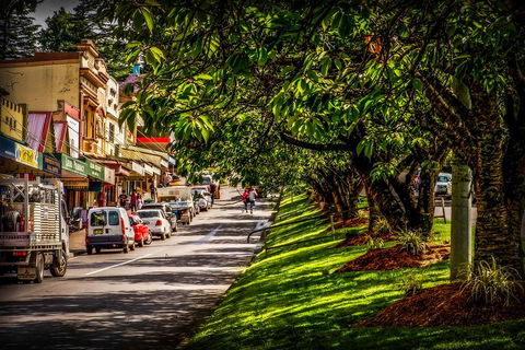 Fully Inclusive Blue Mountains Private Tour Inc Scenic World & Featherdale Entry - Surfers Gold Coast 0