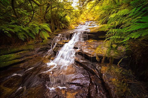 Fully Inclusive Blue Mountains Private Tour Inc Scenic World & Featherdale Entry - Surfers Gold Coast 3