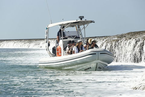 Cygnet Bay Explorer - Surfers Gold Coast 2