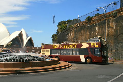Big Bus Sydney And Bondi Hop-on Hop-off Tour - Surfers Gold Coast 3