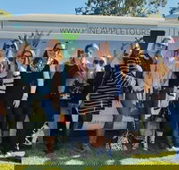 Full Day Mount Tamborine Winery Tour from Gold Coast - Surfers Gold Coast